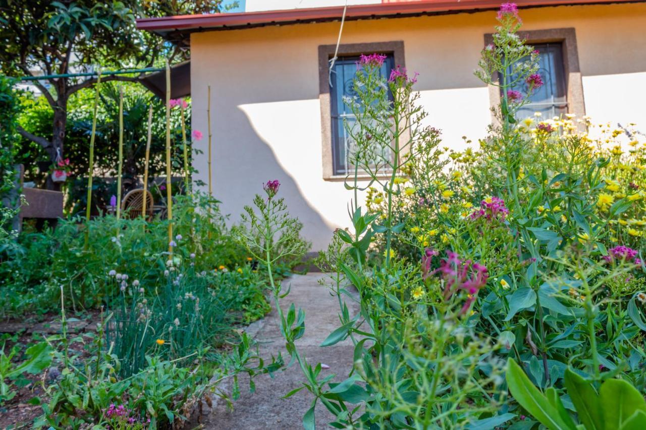 Little Garden House Villa Fiume Kültér fotó